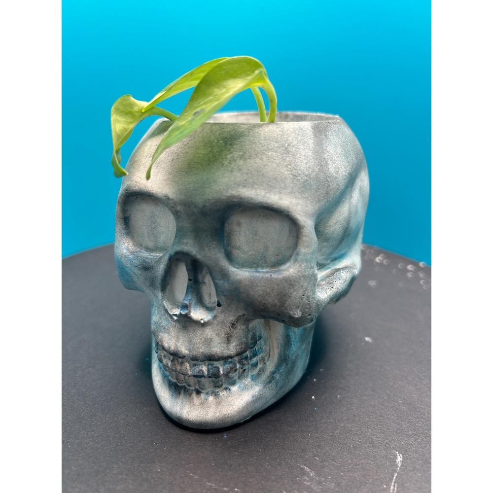 Skull Concrete Planter – Handmade Cement Succulent Pot, Handmade In Texas - Picture 6 of 6